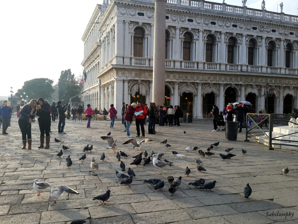 20151129_150542 copy