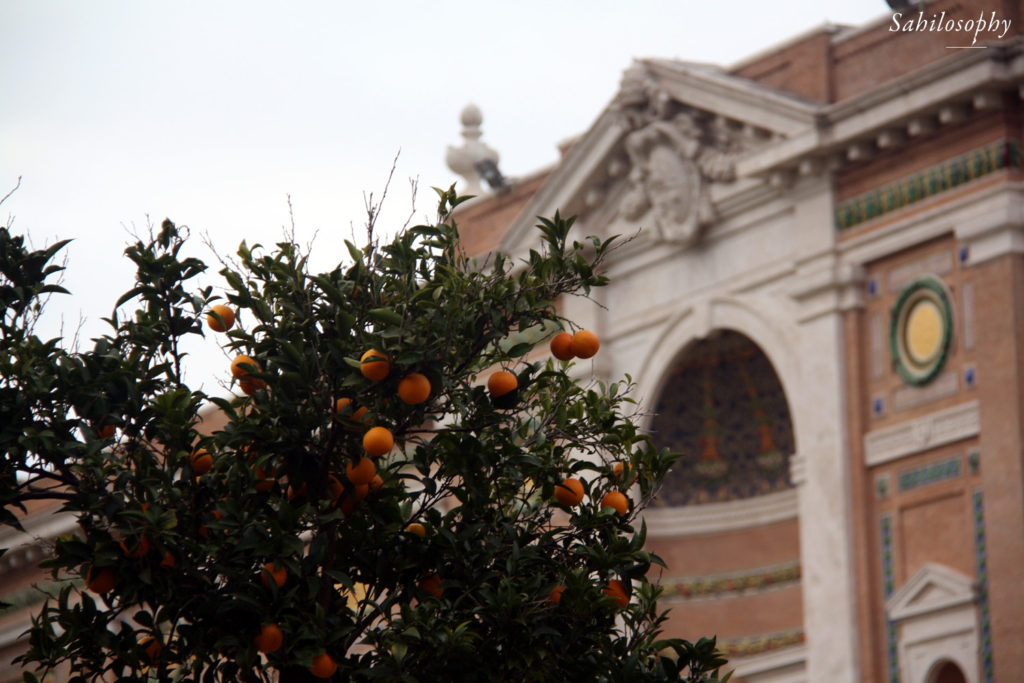 Oranges at Vatican City